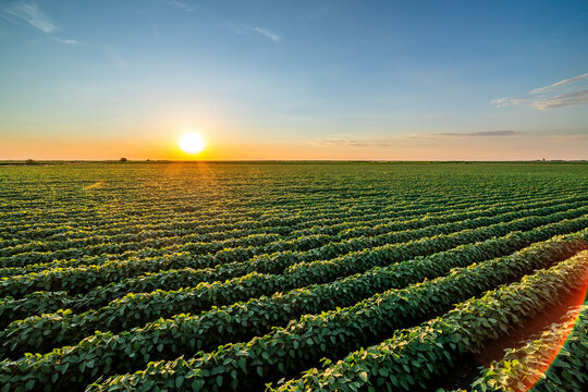 Working Farm Portfolio